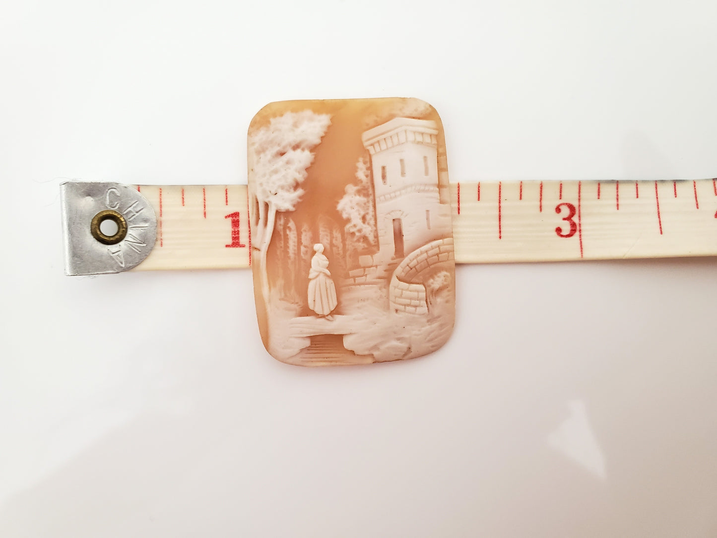 Vintage Victorian Scenic Shell Cameo