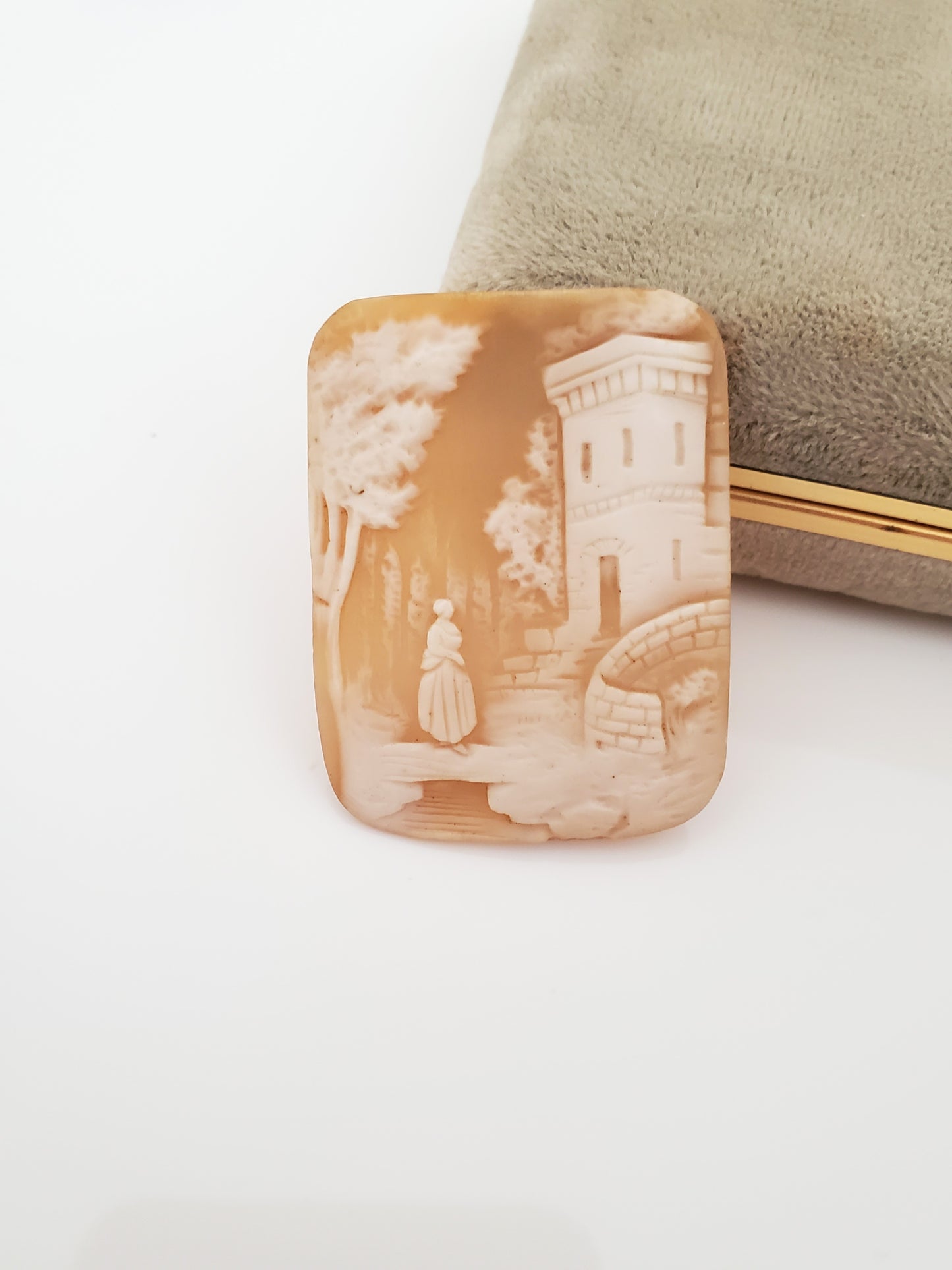Vintage Victorian Scenic Shell Cameo