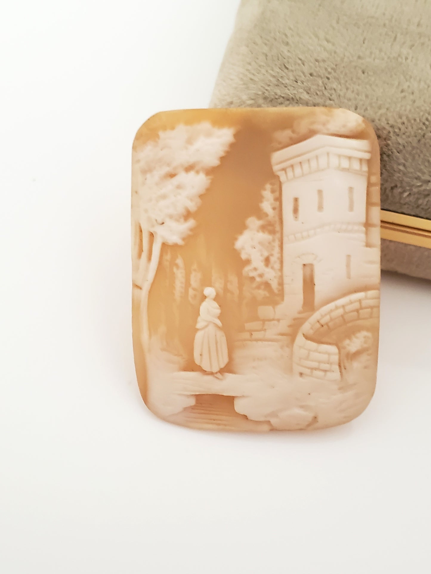 Vintage Victorian Scenic Shell Cameo