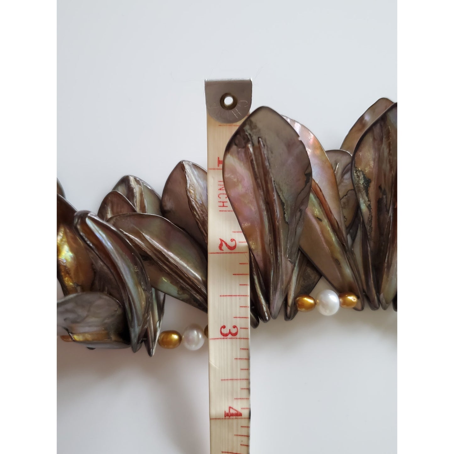 Beautiful Brown Shell and Fresh Water Pearl Necklace