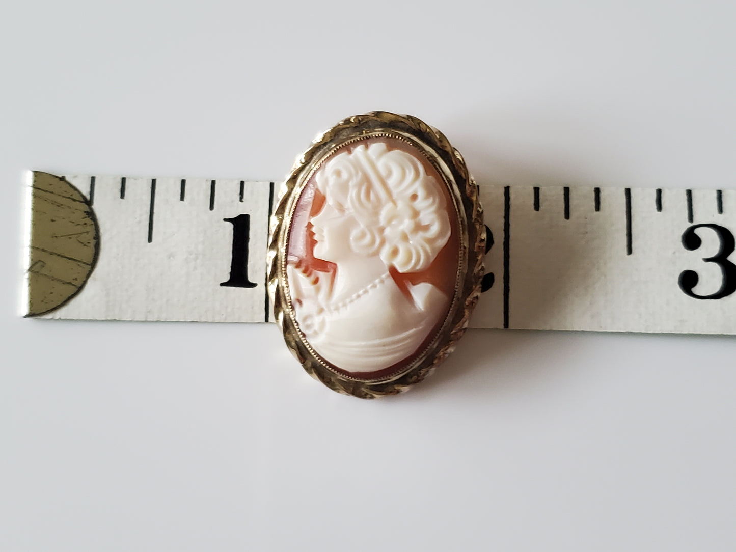 Vintage Gold-fill Cameo Pendant Brooch and Earring Set