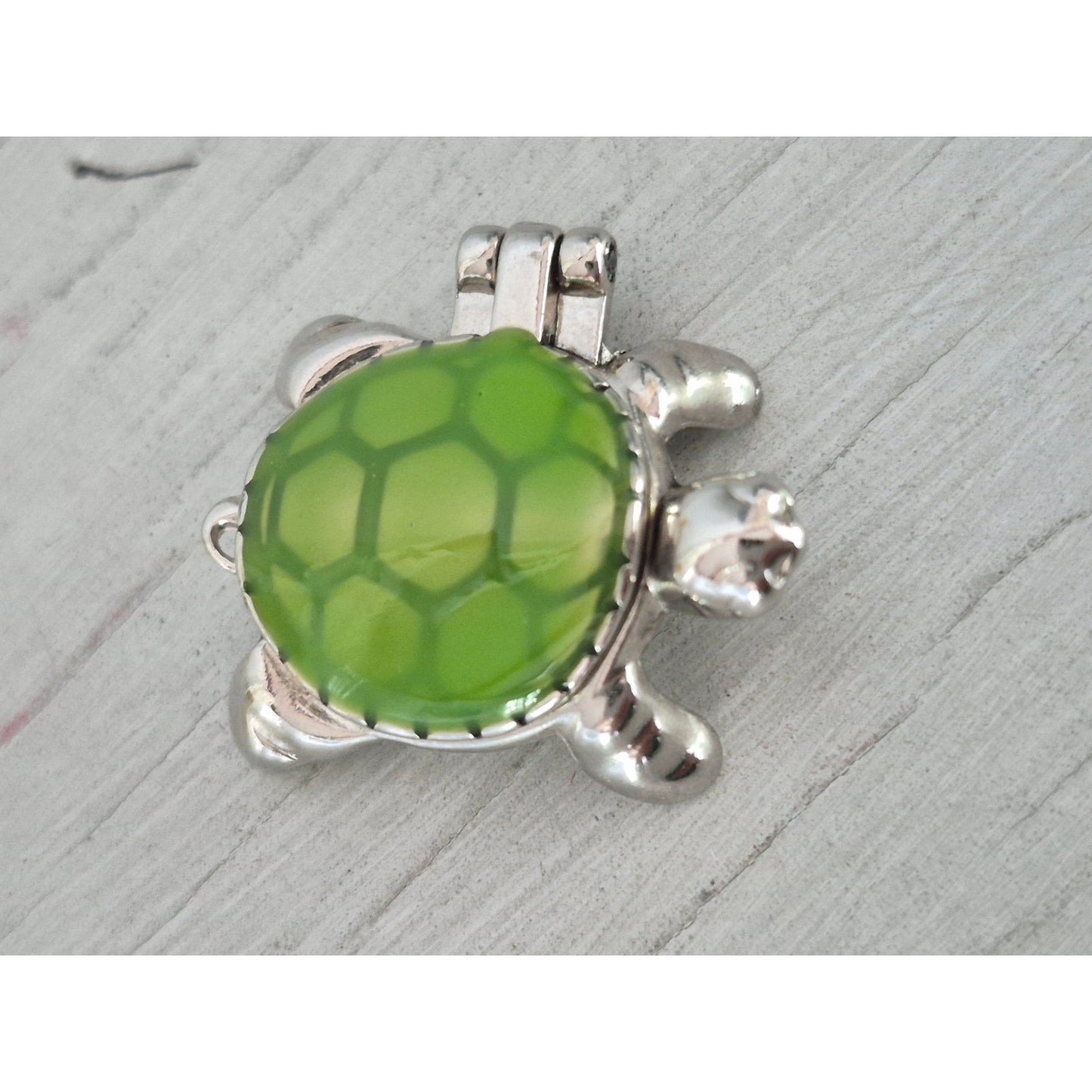 Ganz Mini Lucky Little Turtle Trinket Box Locket