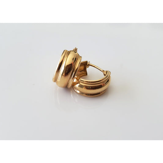 14K Solid Gold Chunky Mini Hoop Earrings