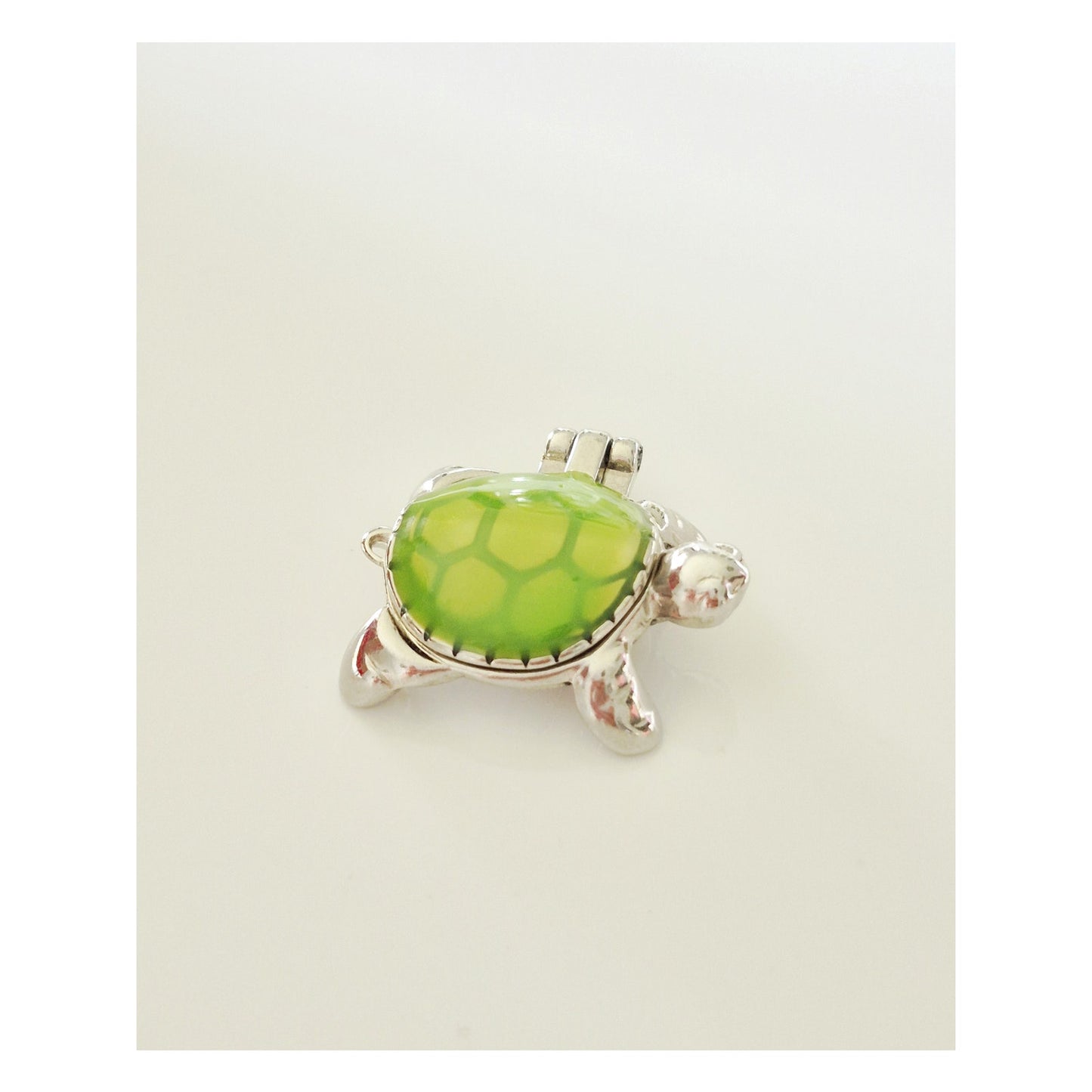 Ganz Mini Lucky Little Turtle Trinket Box Locket