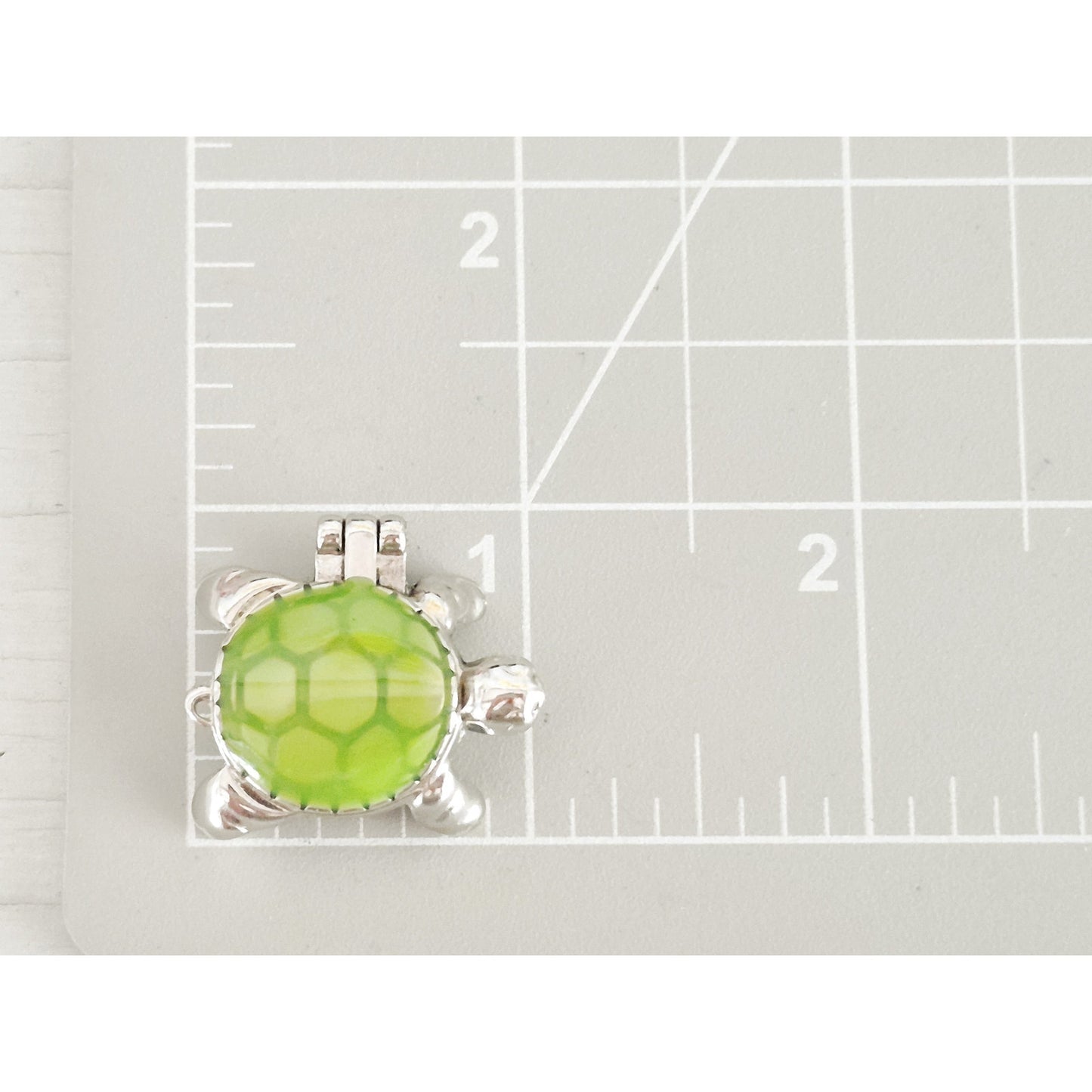 Ganz Mini Lucky Little Turtle Trinket Box Locket
